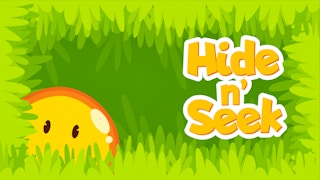 Hiding And Seeking