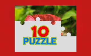 Tenpuzzle