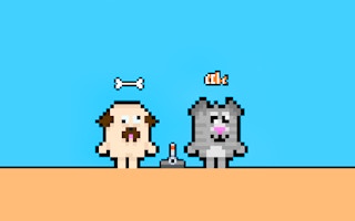 Dog And Cat