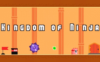 Kingdom Of Ninja