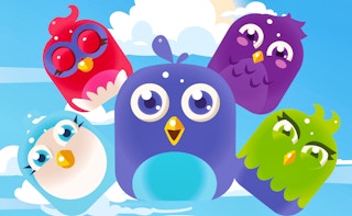 Bird Match Master