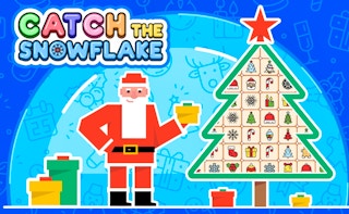 Catch The Snowflake