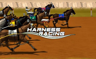 Harness Racing